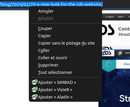 Capture d'écran de la configuration de moteur de recherche personnalisé dans Firefox.